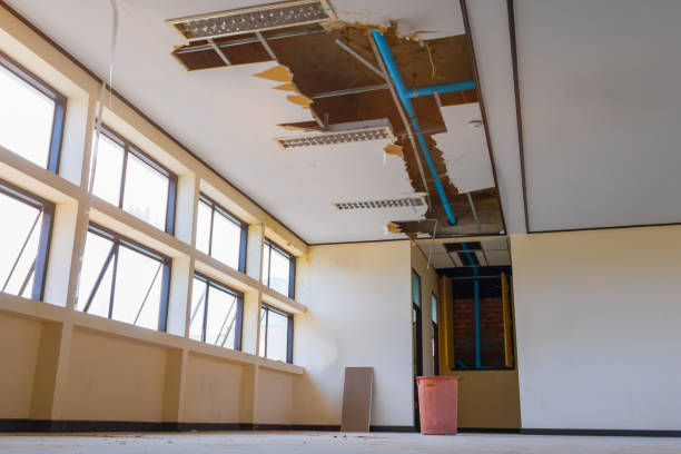 Reliable Clermont, FL Water damage restoration Solutions