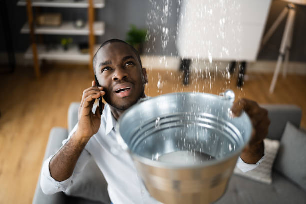 Best 24/7 water damage repair  in Clermont, FL