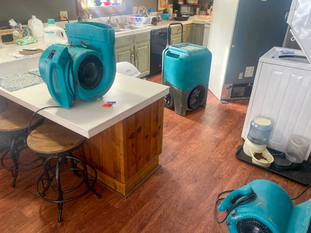 Best Basement water damage restoration  in Clermont, FL