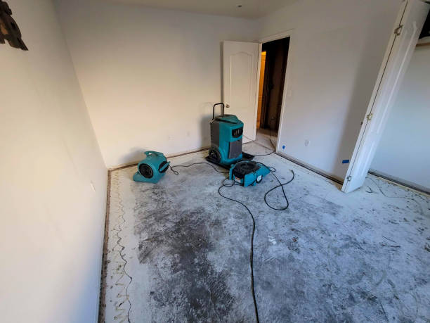 Best Water damage restoration mold remediation  in Clermont, FL