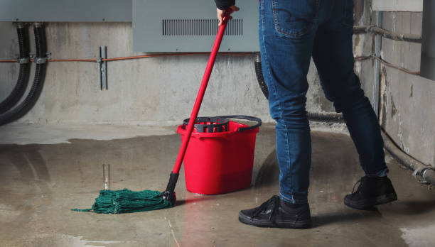 Best Local water damage restoration  in Clermont, FL