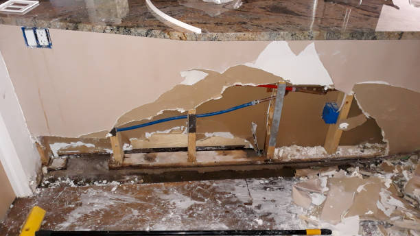 Best Commercial water damage restoration  in Clermont, FL