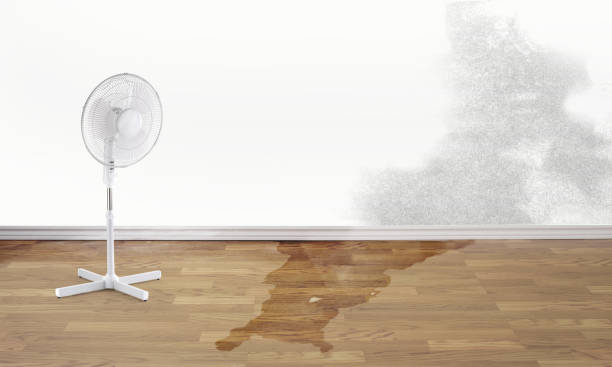 Best Fire Damage Restoration  in Clermont, FL