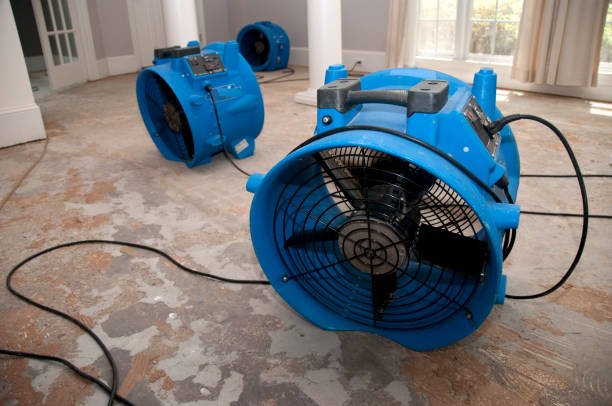 Best Water damage restoration specialists  in Clermont, FL