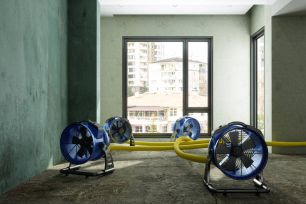 Best Flood restoration services  in Clermont, FL