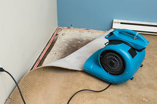 Best Sewage cleanup and water damage restoration  in Clermont, FL